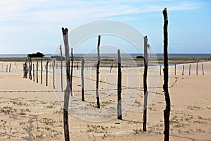 Fence made of tree branches, delimited area on the coast near the beach, typical of the coast of northeastern Brazil. photo